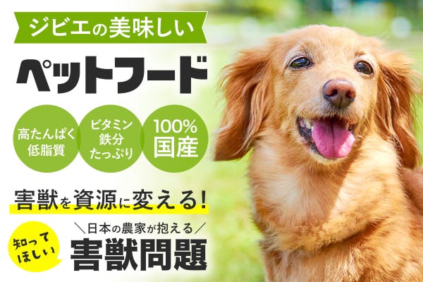 ワンモSTORY（開発への想い）